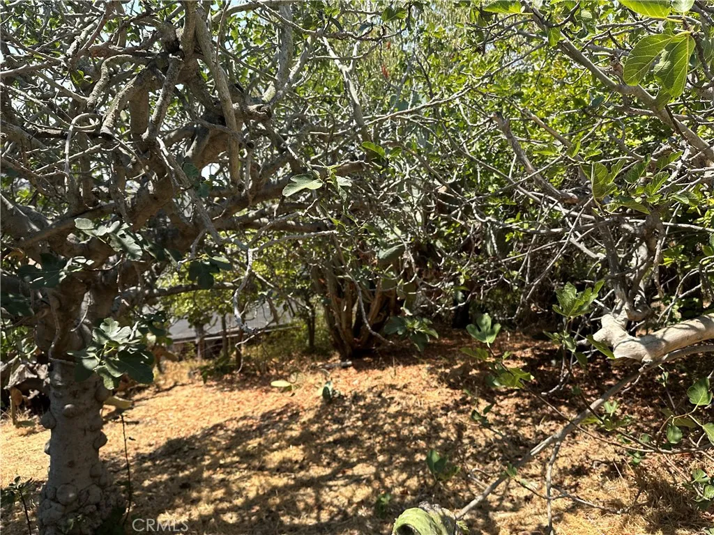 Los Angeles, California 90026, United States, ,Land,Active,231646