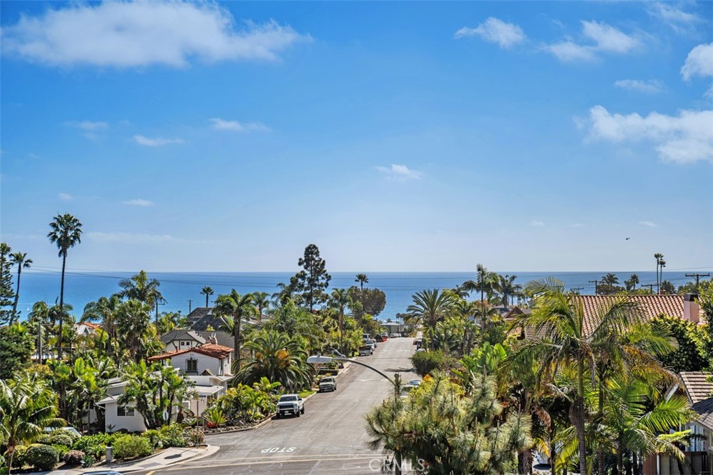 33695 Blue Lantern B