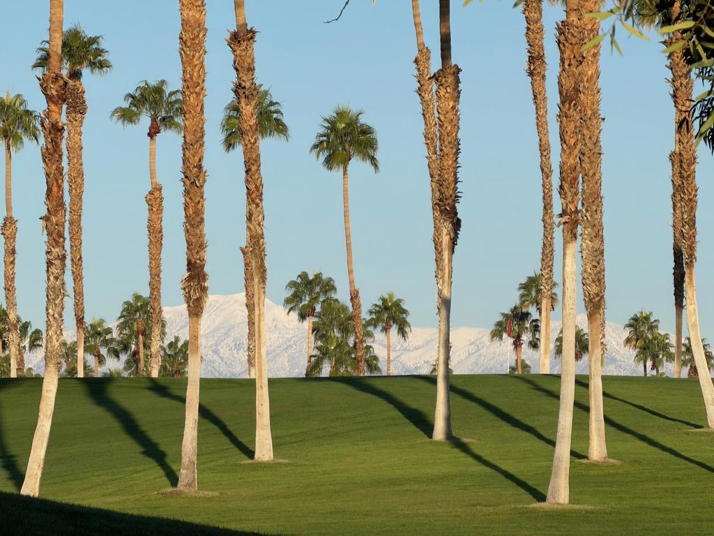 Desert Falls C.C. - Residential Lease