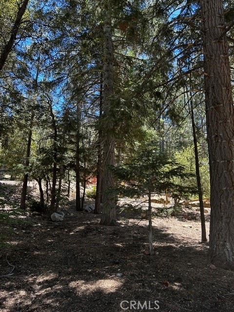 1221 Azalea Dr