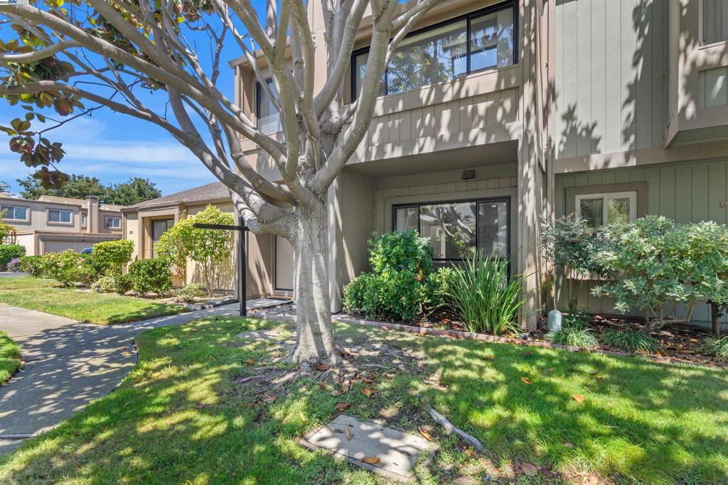 3334 Solomon Ln