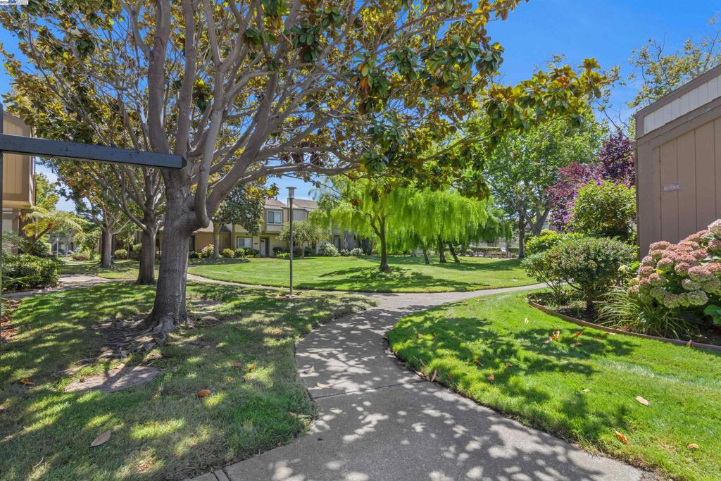 3334 Solomon Ln