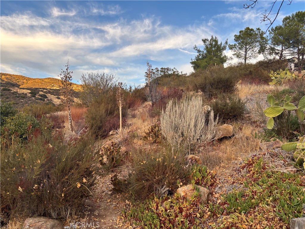 35109 Highway 79, Space 76