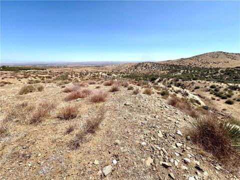 Photo of 113 Juniper Mesa Road, Juniper Hills, CA 93543 (MLS # JT25136237)