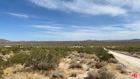 Photo of 6800 Mojave Ranch Road, Joshua Tree, CA 92252 (MLS # 26668629)