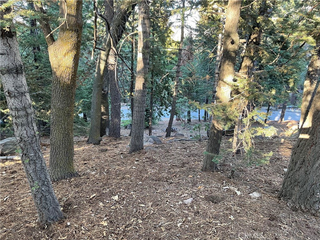 Arrowhead Woods (AWHW) - Land