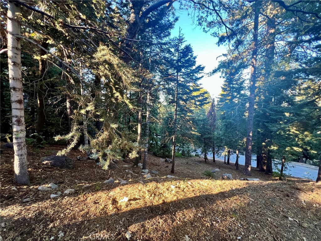 Arrowhead Woods (AWHW) - Land