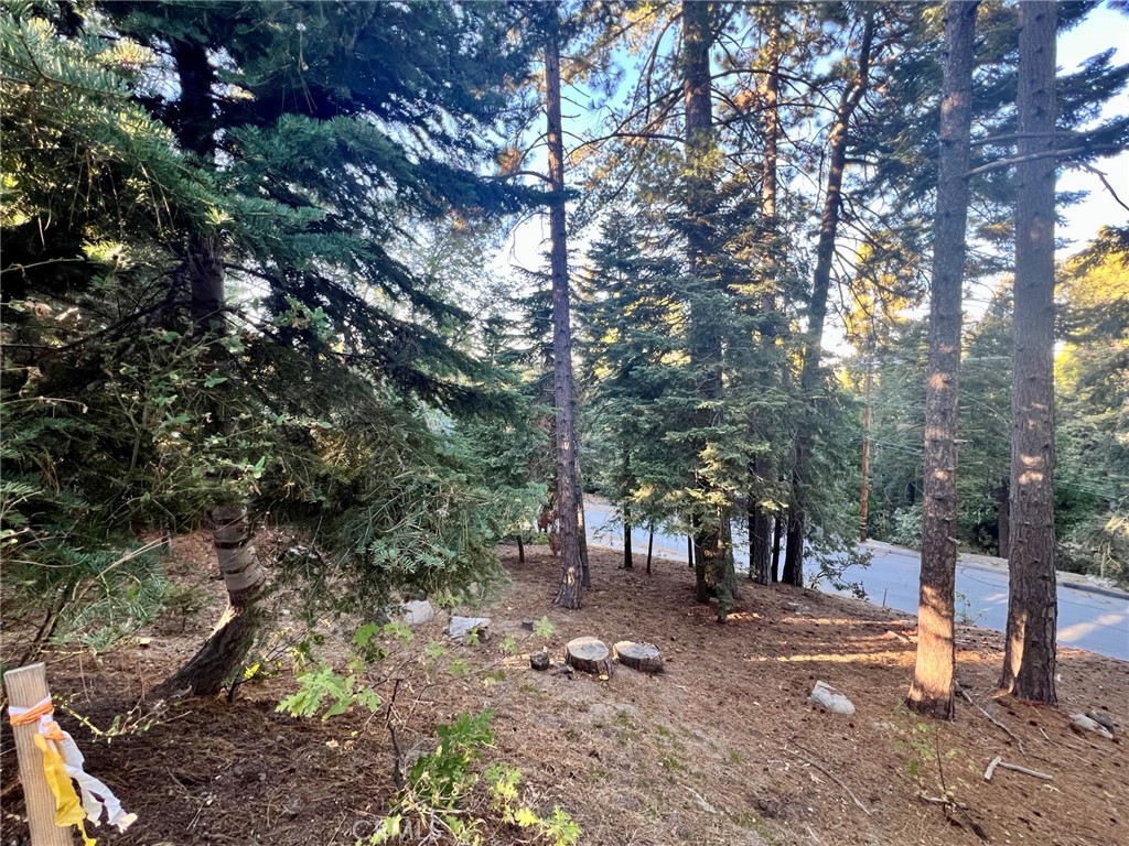 Arrowhead Woods (AWHW) - Land