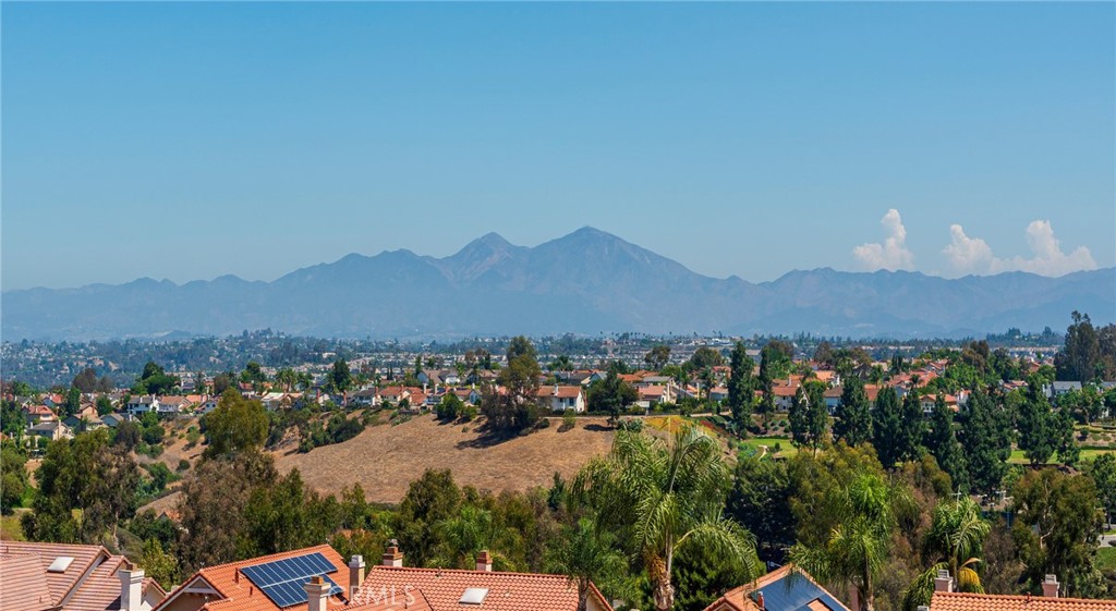 29254 Alfieri Street