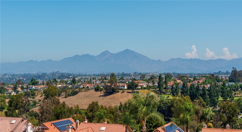 29254 Alfieri Street