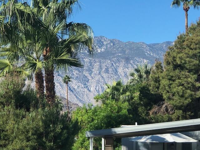 Royal Palms - Manufactured In Park