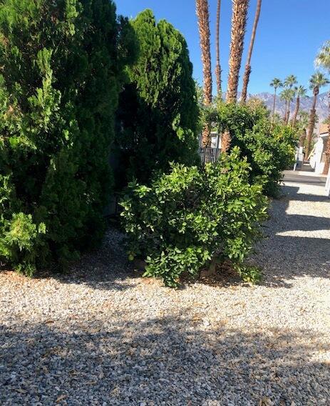 Royal Palms - Manufactured In Park