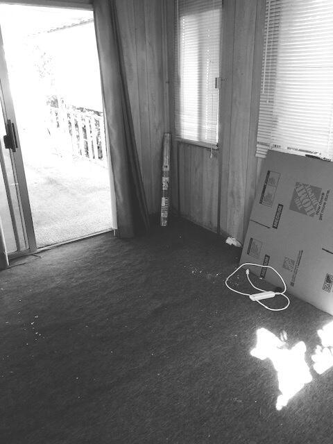 Royal Palms - Manufactured In Park