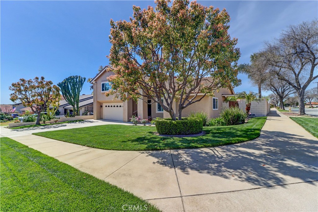 1397 Palomino Avenue
