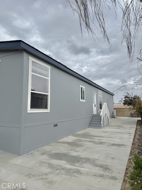 26424 Doveweed
