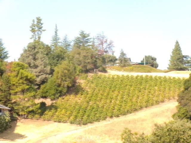 10450 Sunset Ridge Drive