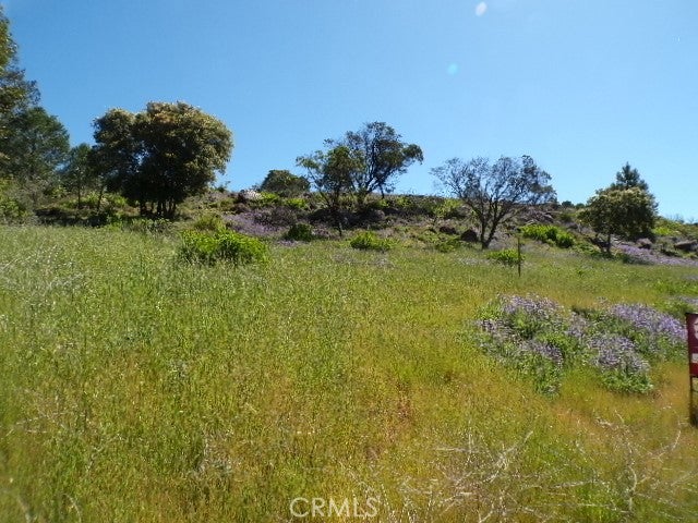 10450 Sunset Ridge Drive