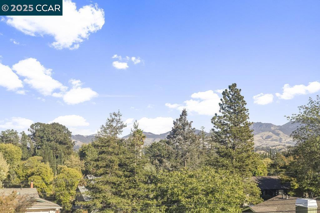 BUENA VISTA - Residential