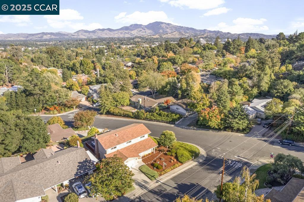 BUENA VISTA - Residential