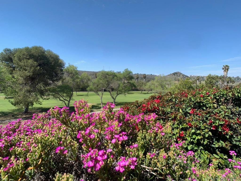 Del Cerro - Residential