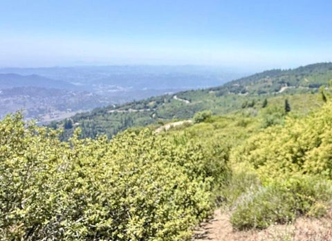 Photo of 21789 Crestline Road, Palomar Mountain, CA 92060 (MLS # NDP2605900)