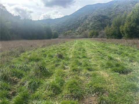 Photo of 9000 Scotts Valley Road, Upper Lake, CA 95485 (MLS # LC26225677)
