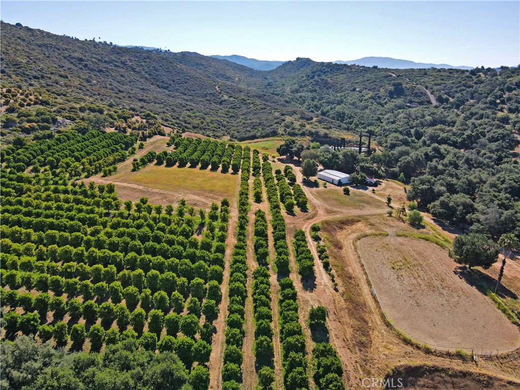 East Escondido - Residential