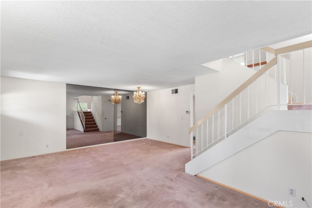 1437 Dalmatia Drive