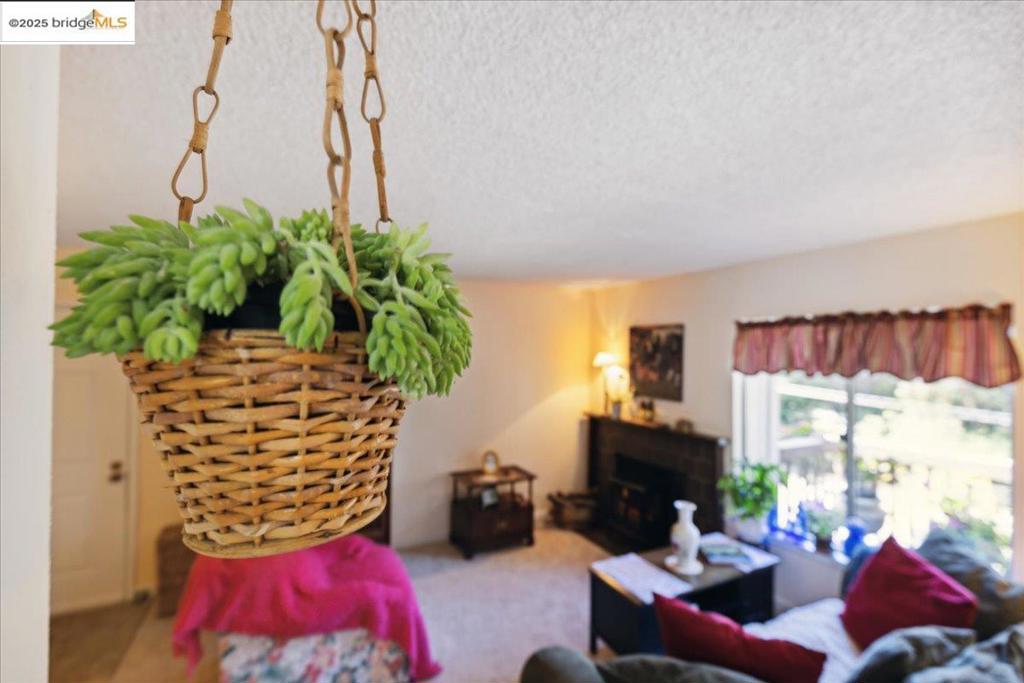 OAKLAND HILLS - Residential