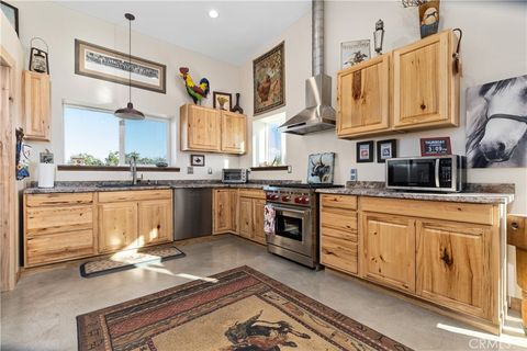 Tiny photo for 4265 Nickel Creek Road, San Miguel, CA 93451 (MLS # NS25258988)