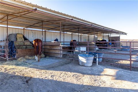 Tiny photo for 4265 Nickel Creek Road, San Miguel, CA 93451 (MLS # NS25258988)
