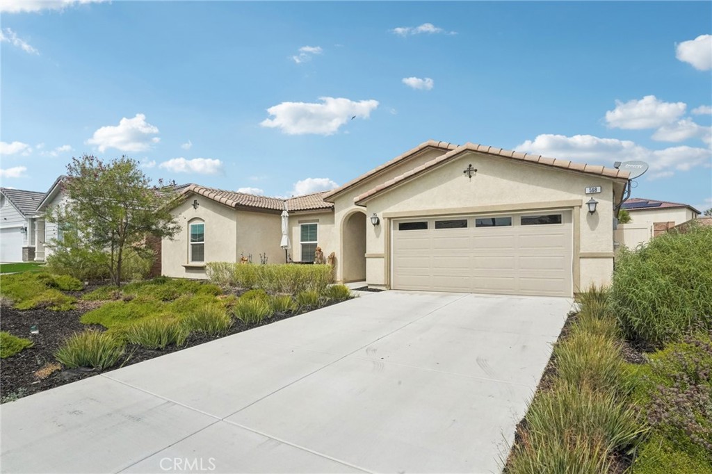 568 Corkwood Street