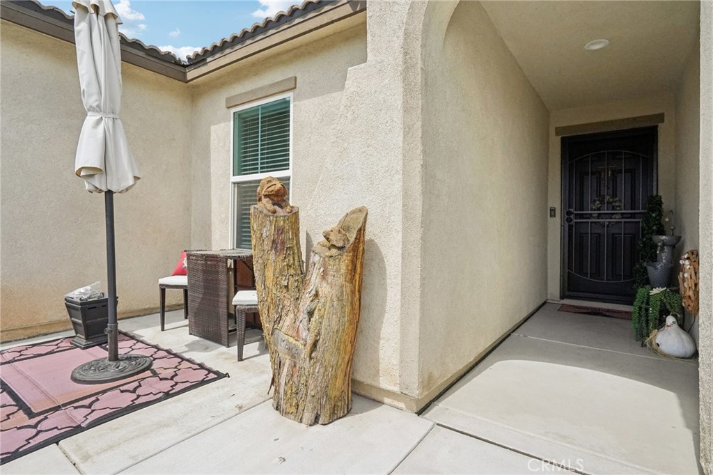 568 Corkwood Street