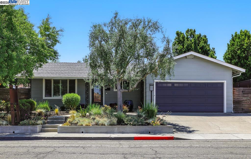 Welcome to this updated and charming single-story home in the heart of Pleasanton. The living room features plantation shutters and flows into a dining area filled with natural light. The kitchen is equipped with beautiful wood cabinetry and stainless steel appliances. A cozy family room highlights a stunning fireplace framed by built-in bookshelves and opens to a newly updated backyard. Enjoy fresh hardscape, a raised deck, calming water feature, manicured landscaping, and garden beds - an inviting space to relax and unwind. The home includes a spacious primary bedroom with an ensuite bath, two additional bedrooms, and a full guest bathroom. Throughout, you'll recessed lighting. Located in a prime Pleasanton neighborhood, close to award-winning schools, parks, shopping, dining, and historic downtown.