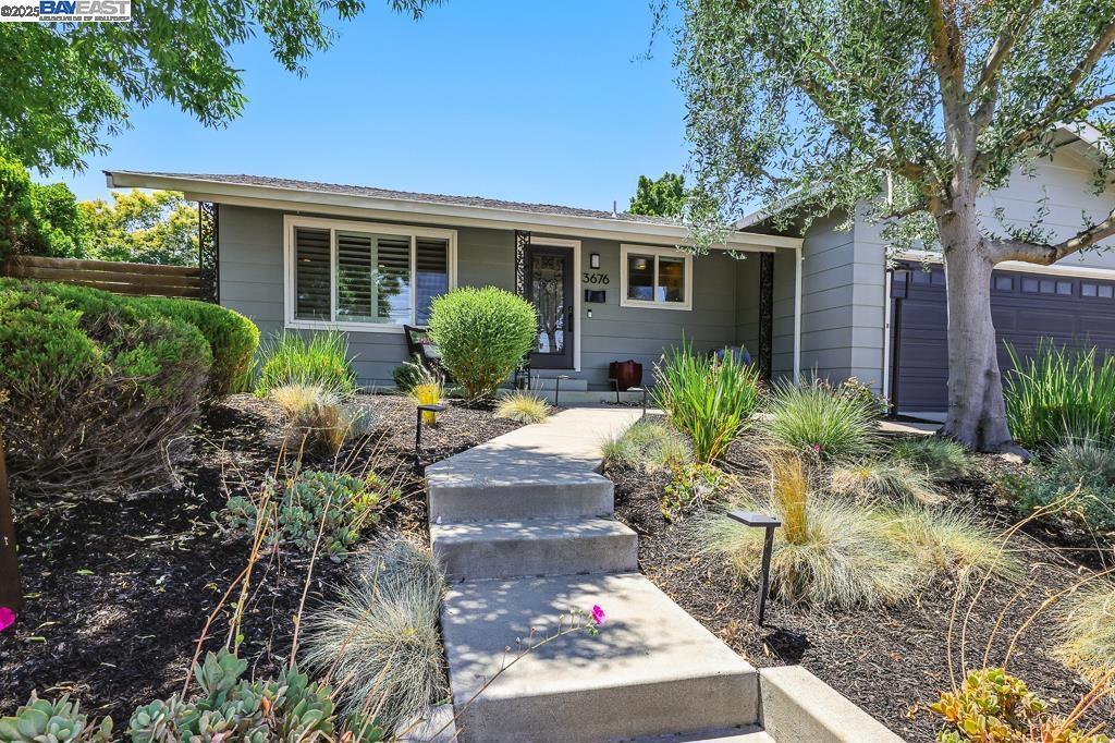 3676 Vineyard Ave