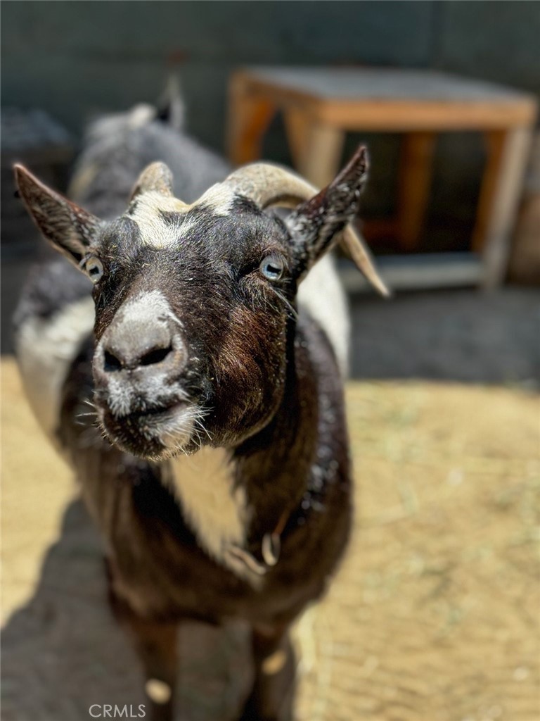 Santa Ana Heights Residential (SAHR) - Residential