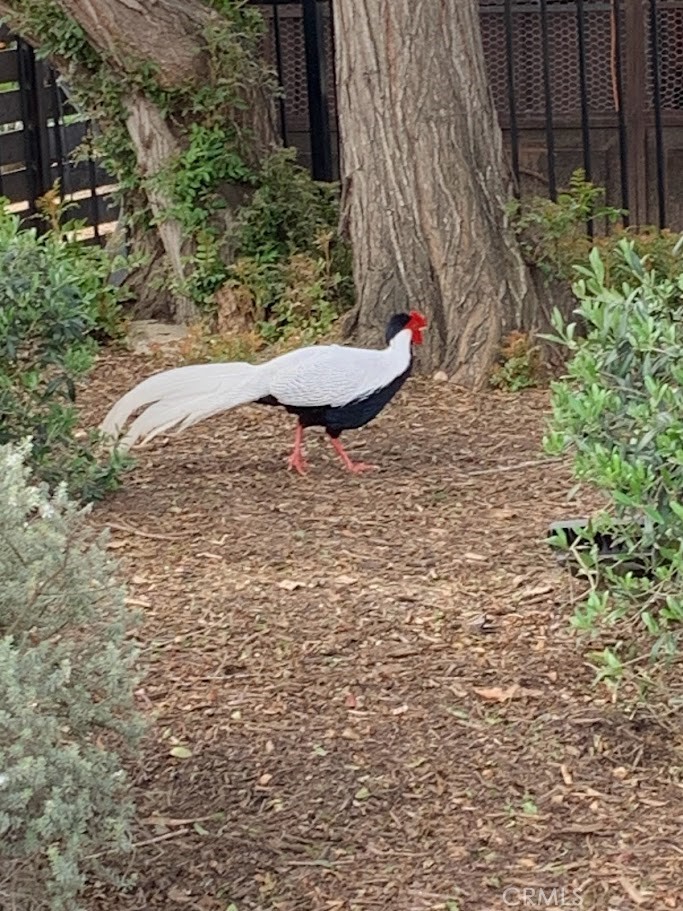 Santa Ana Heights Residential (SAHR) - Residential