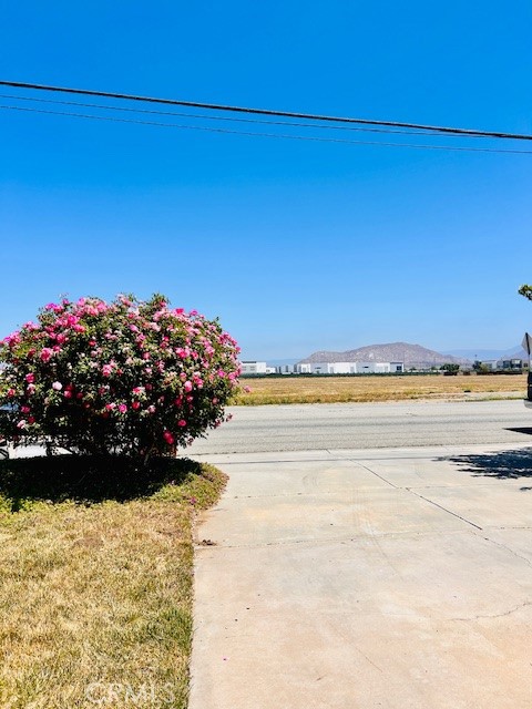 441 Placentia