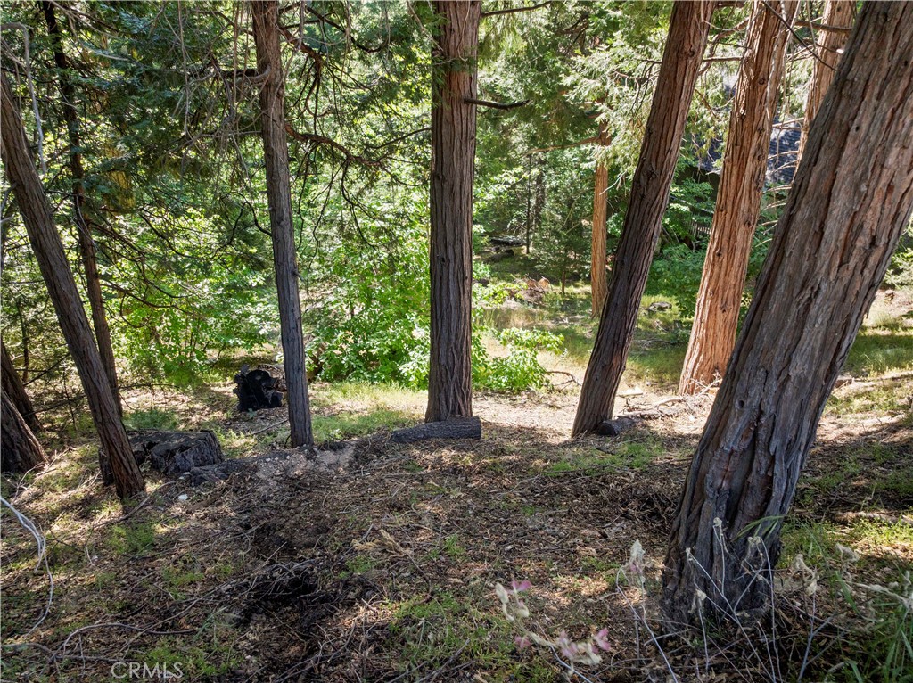 Arrowhead Woods (AWHW) - Land