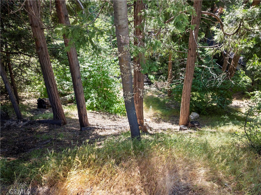 Beautifully Treed Lot close to Village and Lake. Build your Dream Cabin or consider purchasing the Cabin that is also for sale in Crest Estates.
27917 Squirrel Lane Lake Arrowhead CA posted in the MLS.