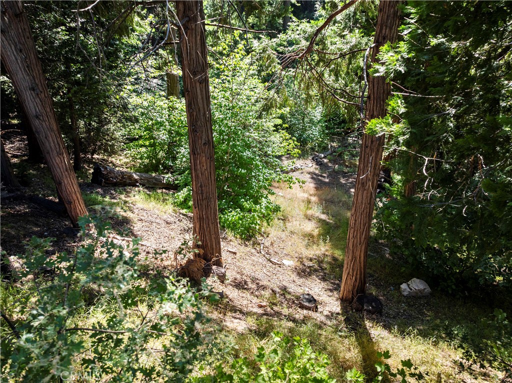 Arrowhead Woods (AWHW) - Land