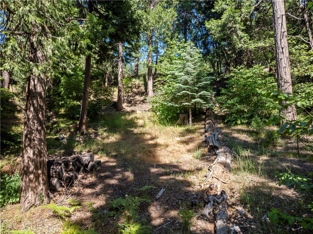 Arrowhead Woods (AWHW) - Land