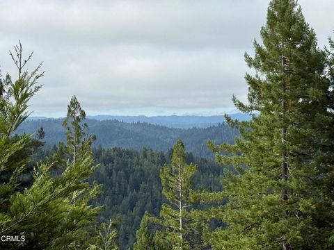 Photo of 12301 Docker Hill Road, Comptche, CA 95427 (MLS # C1-11254)