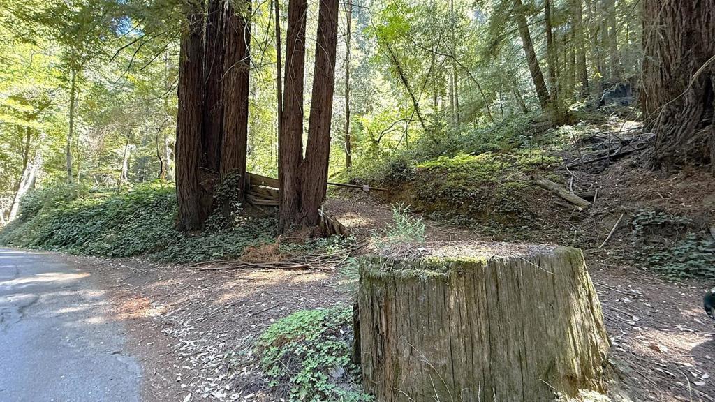 Your chance to own your own shady, beautiful forest getaway! Just over 4 acres, minutes to mountain fun and amenities, with well installed. Some usable area! This could be the perfect property to build your tiny home, or set up an RV, convenient with PGE pole ready for a drop! Gated driveway. Close proximity to grocery, wineries, hiking and biking trails, just 11 miles down the back road straight into the charming beach town of Capitola!