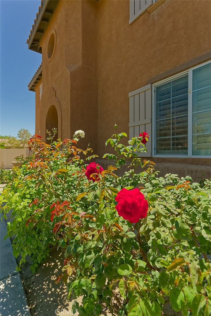 14911 Sunset Gardens Court
