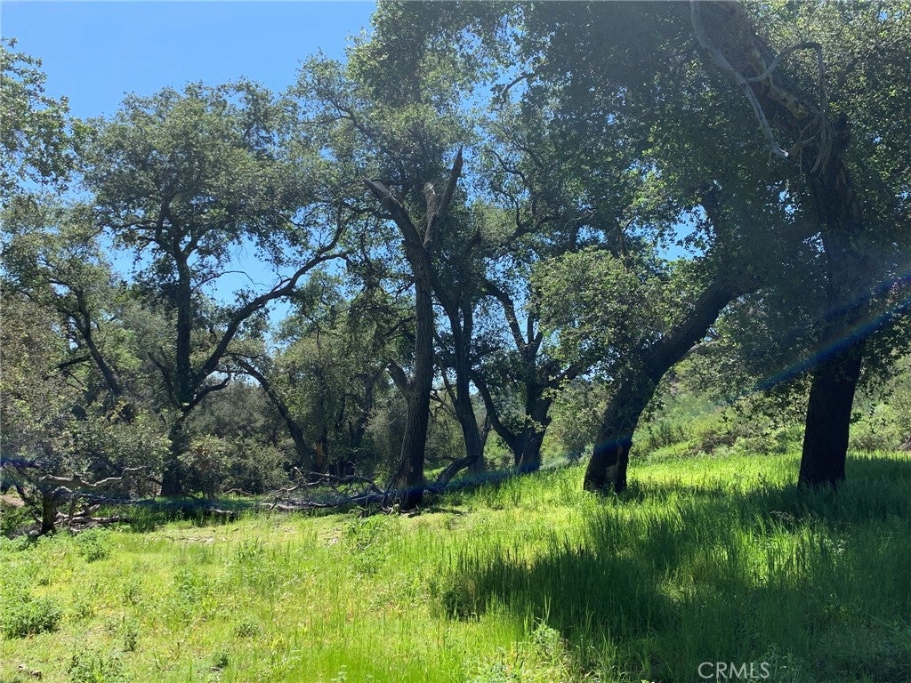 30271 Old Stage Road