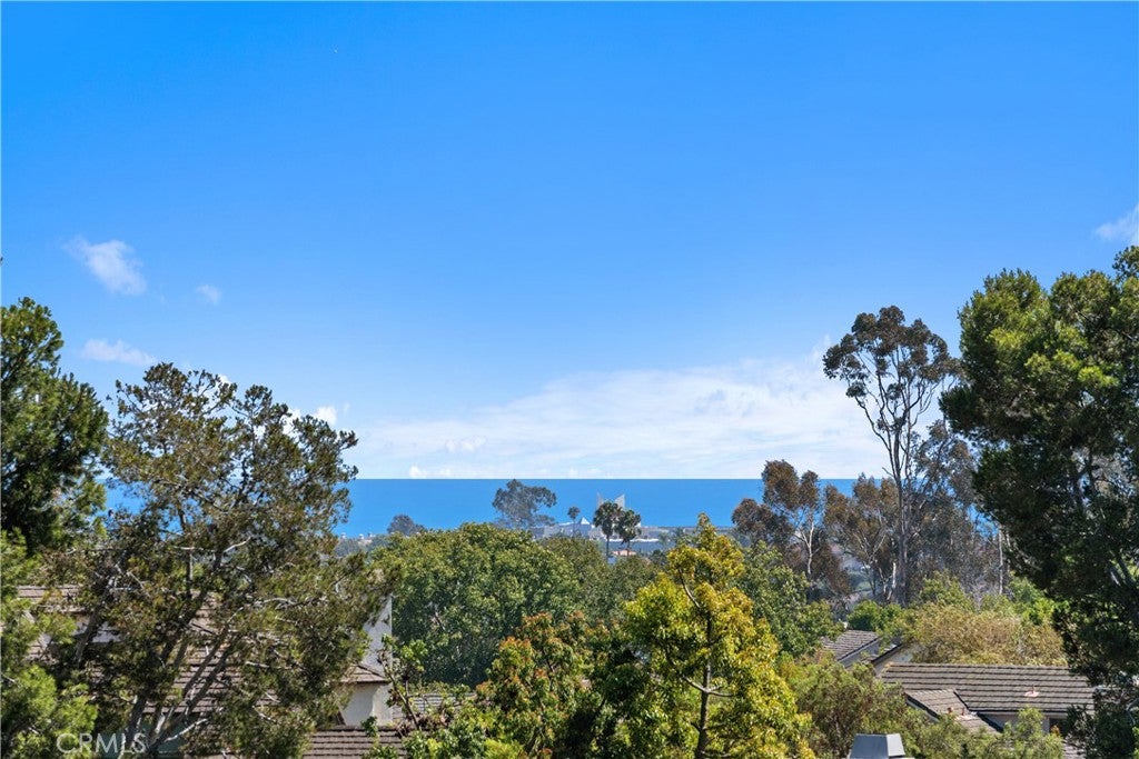 72 Terra, Dana Point CA 92629 - Photo 16