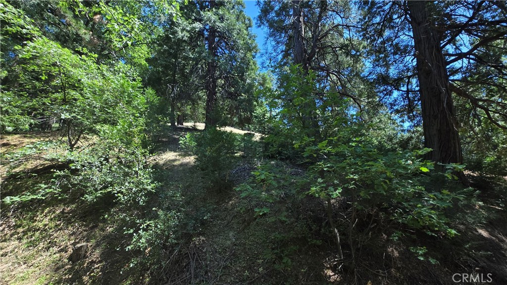 Here's a little slice of "off the grid" land that's easy to get to, but feels like you're in the middle of nowhere. Utilities are nearby, but buyer should check with the appropriate suppliers to inquire about possible hookups. This is for the person who really wants to get away from it all.