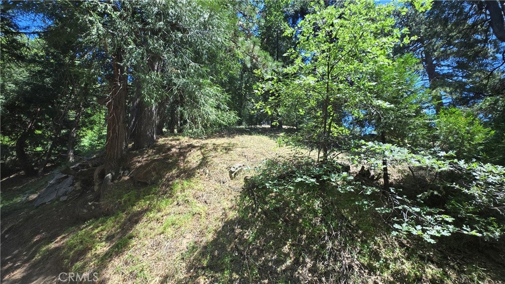 22494 Mojave River Road
