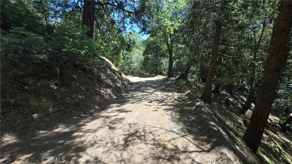 22494 Mojave River Road